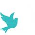 favicon-white Arizona Injury Lawyer logo