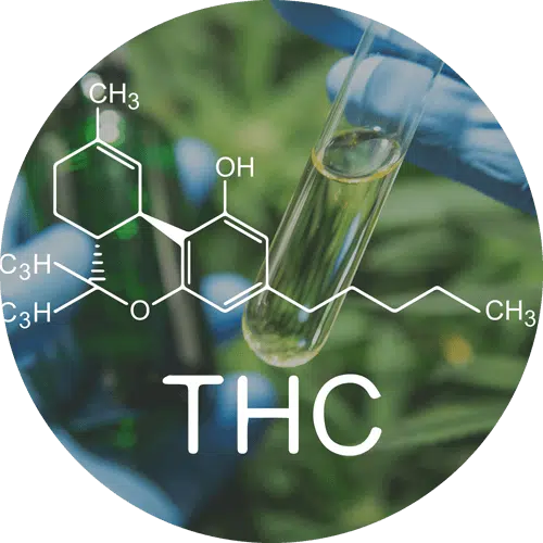 Thc-Levels Trusted Cannabis Lawyer Located in Arizona