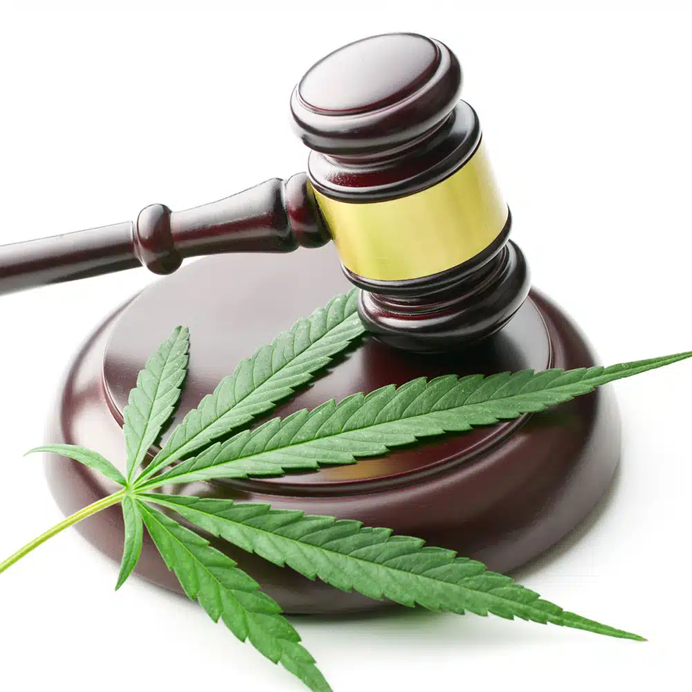 arizona-marijuana-lawyer-dove-law-firm Arizona Marijuana Defense Attorney