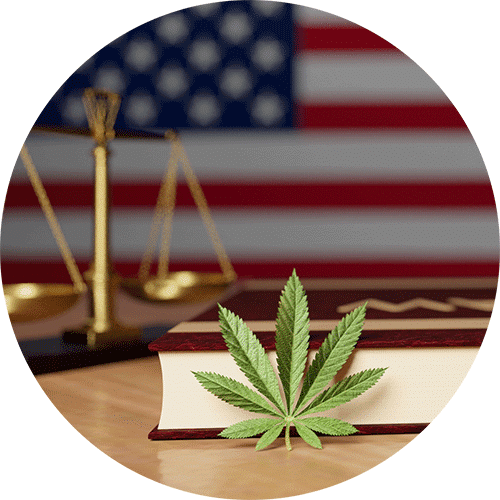 Best Arizona Marijuana Charge Expungement Attorney