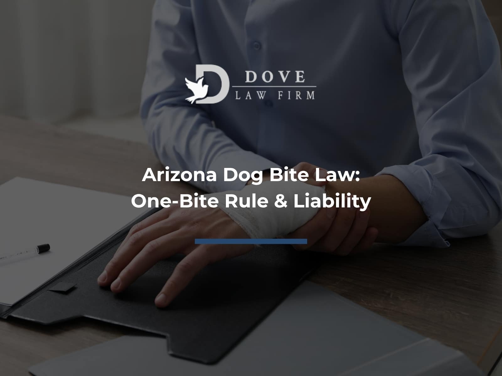 Arizona Dog Bite Law: One-Bite Rule & Liability